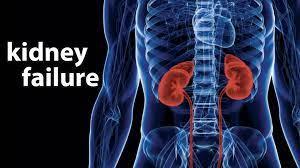 Kidney Failure Induced Erectile Dysfunction